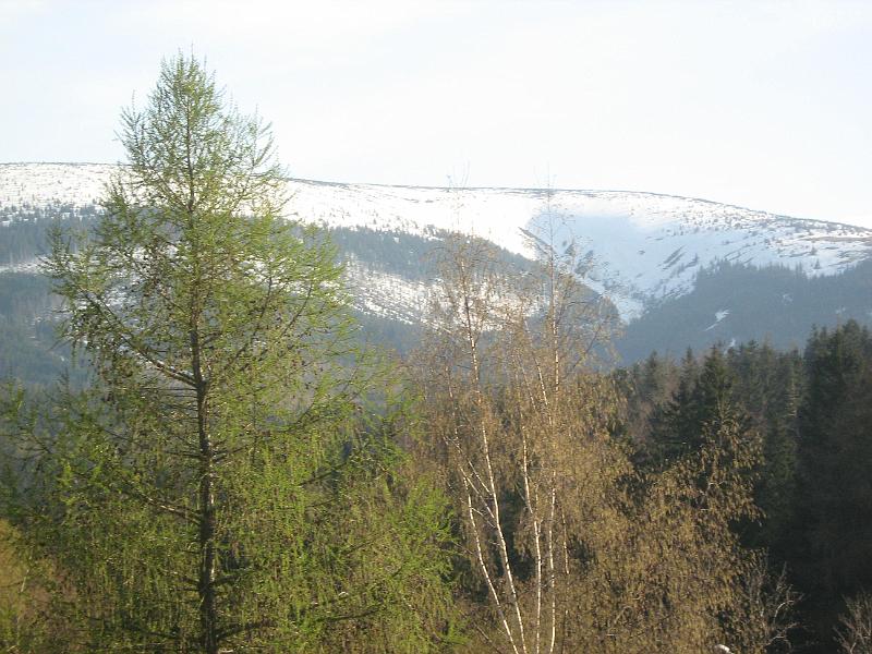 Obraz 364.jpg